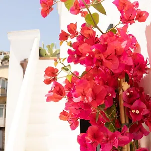 https://civico-50.hotels-amalfi.com